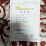 酔っ払いランナー