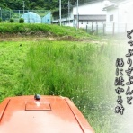 フォト短歌游々日記