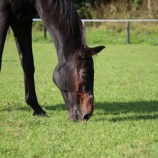『久しぶりの晴れ間』の画像