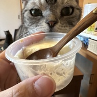 9年ぶりの日本に戸惑う人間と、チャリティーTシャツ＆ポロシャツ販売のお知らせ