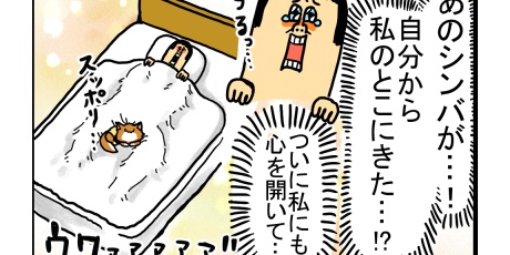 まめきちまめこ シンバ