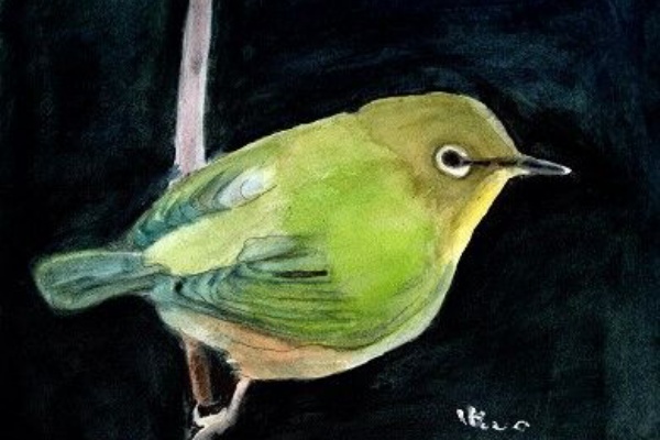 水彩画　川辺の一羽の鳥 mqdefault.jpg