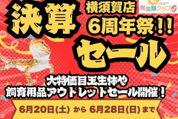 ちょろ様 リクエスト 2点 まとめ商品 爬虫類クラブJ 横須賀店ブログ
