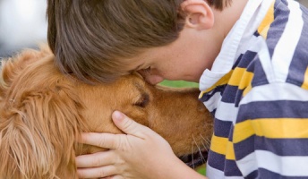 なんで犬って俺が精神的に病んでる時に限って近くにいてくれるの?