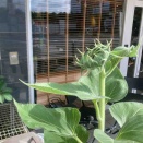 滝汗練習会