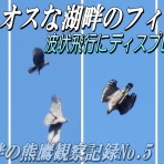 kita-papa のFF日記