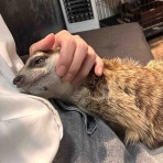 茅ヶ崎ふれあい動物園blog