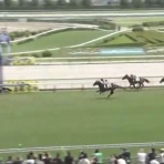 さておき競馬まとめ