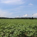 湖南町商工会 - お知らせ・活動報告 -