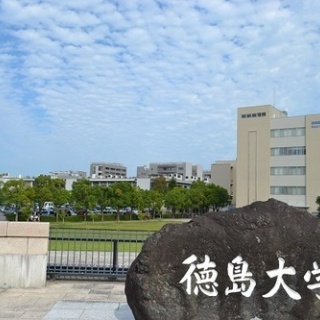 ハムスター速報