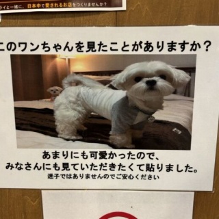 くまニュース