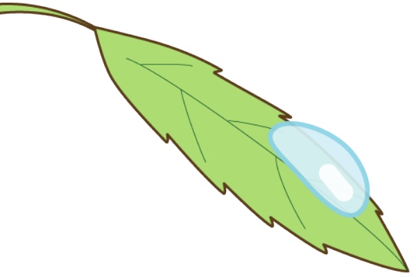 幼稚園児のイラスト 絵カード 葉っぱと水玉のイラスト 絵カード