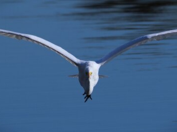 2025年12月5日の野鳥公園