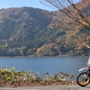 敦賀港～旧北陸線廃線トンネル　(*ΦωΦ*)にゃー