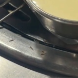 【動画】韓国式サムギョプサル店、鉄板にウジ虫這う。「拡散やめるニダ💢」