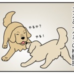 リンマンブルース　ゴールデンレトリバーの生態とマンガ