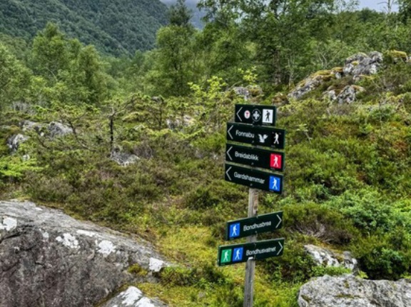 山で遭難した時は登山道を登っていけばいい