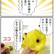 コレ初めて！「食べるお花」