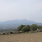 Ancient Botanical Garden