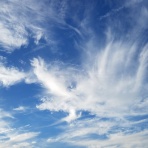 「なないろの種」の曼荼羅ワーク®　