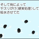 かれこれ１３年