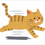 野良猫から話しかけられるんだが