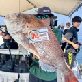 8月13日の釣果報告🐟🐟🐟🐟