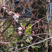 ���������衡��������������־졡�����㤬�ʥ���