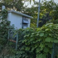伐採除草作業　国立産業技術総合研究所様