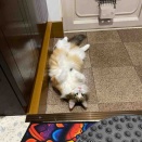自由すぎる(￣◇￣;)