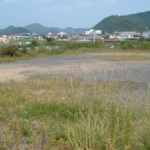 親「使ってない土地を貸してやるから稼いでみろ」俺「どうやって？」親「大学行ったんだ何かしら学んだろ？」