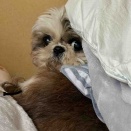 寝てるのにぃ　なっちゃん