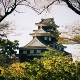 『紅葉狩りｽﾎﾟｯﾄ🍂『2025.11 岡山後楽園❹』岡山市北区後楽園』の画像