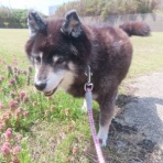 churahamaのブログ