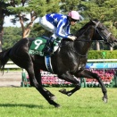 占い競馬予想　第８６回皐月賞