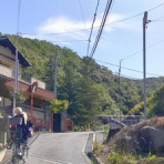 ときどきひびき農園日記