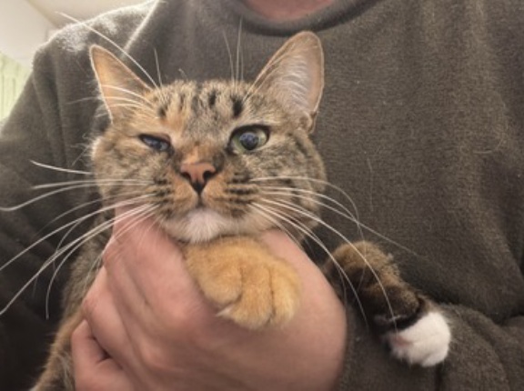 毛皮の質とオスメスと　20260216