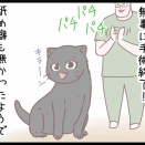 飼い猫は2匹とも去勢できました！のまき