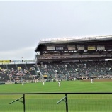 『甲子園～'11.5月①阪神vs.広島』の画像