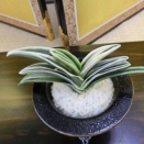 2024年　全国大会から（7）