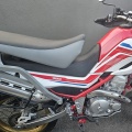 バイク屋OPEN祝　夜会　(*ΦωΦ*)にゃー