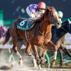 『今日は何の日?(11月14日)』の画像