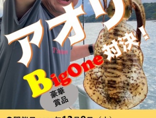 アオリBIG ONE対決！！