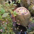 『冬に向かいて　４』の画像