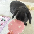 幸せを噛みしめる。