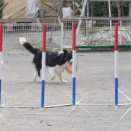 裏には何が有るのか？