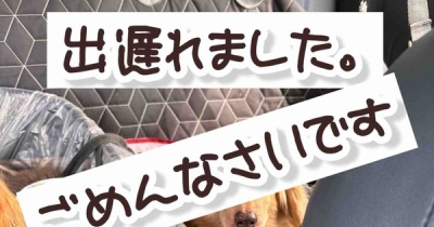 ママ大失敗。