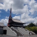 増上寺・三解脱門改修工事中＆今年は盆踊り中止