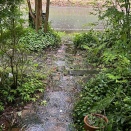 7月になりました🎋