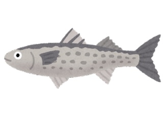魚って捌くのむずいんか？